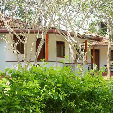 Calm Garden Cabanas Tangalle Dış mekan fotoğraf