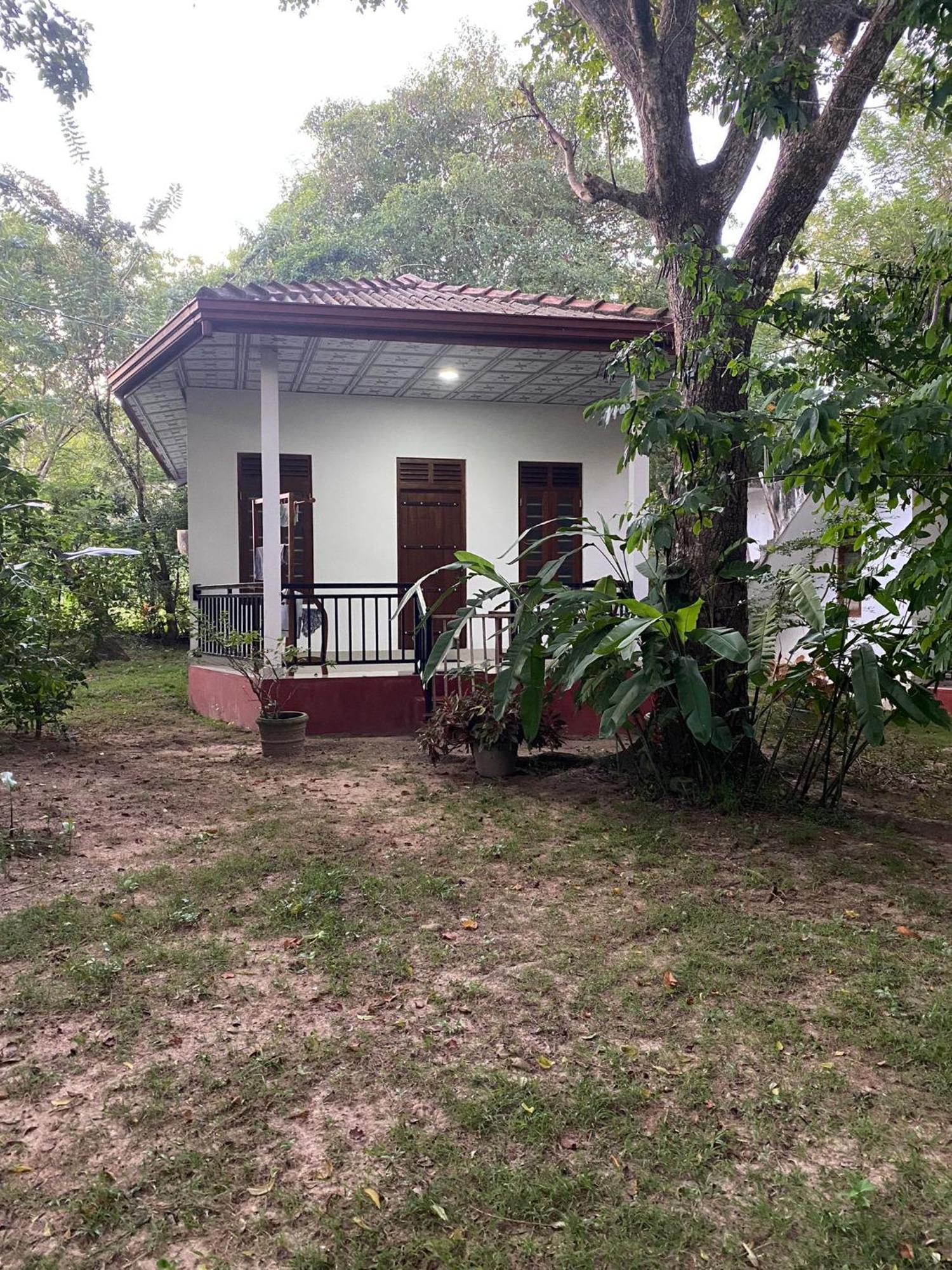 Calm Garden Cabanas Tangalle Dış mekan fotoğraf