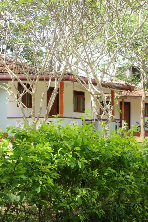 Calm Garden Cabanas Tangalle Dış mekan fotoğraf