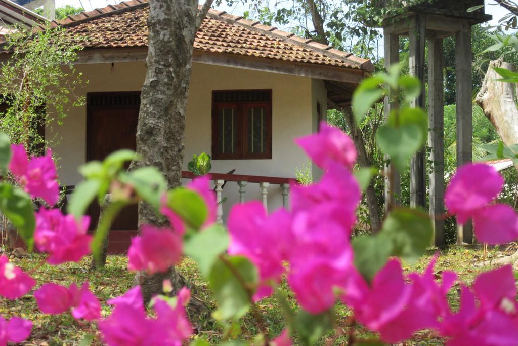 Calm Garden Cabanas Tangalle Dış mekan fotoğraf