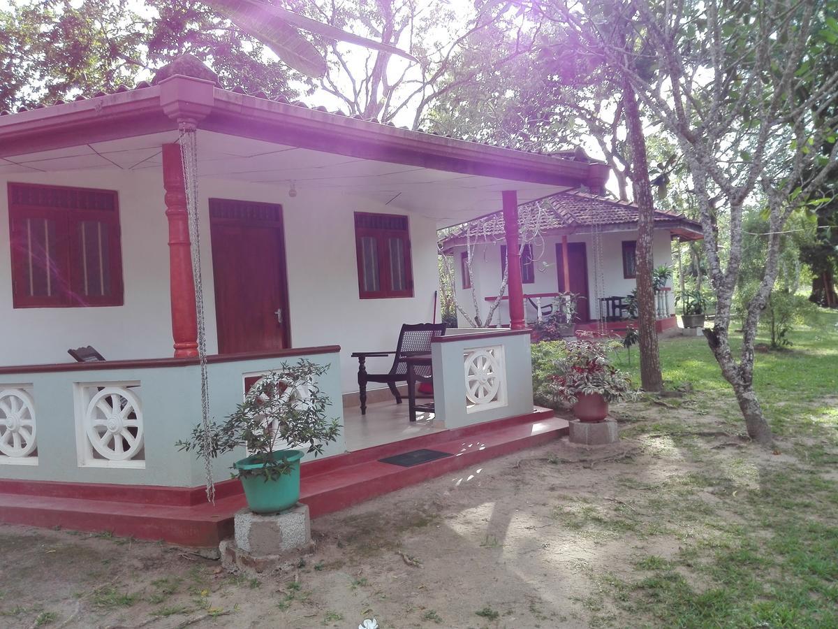 Calm Garden Cabanas Tangalle Dış mekan fotoğraf