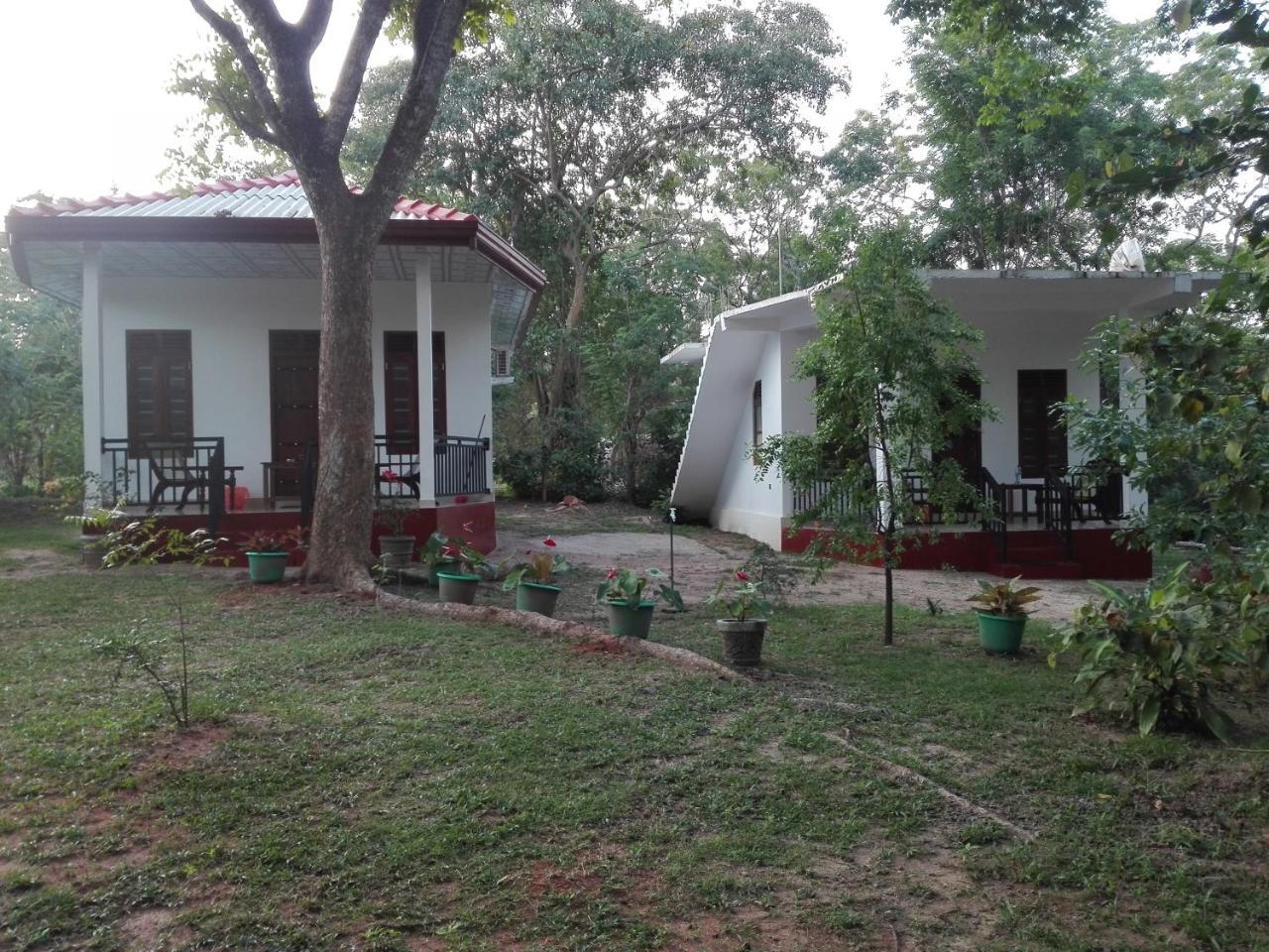 Calm Garden Cabanas Tangalle Dış mekan fotoğraf
