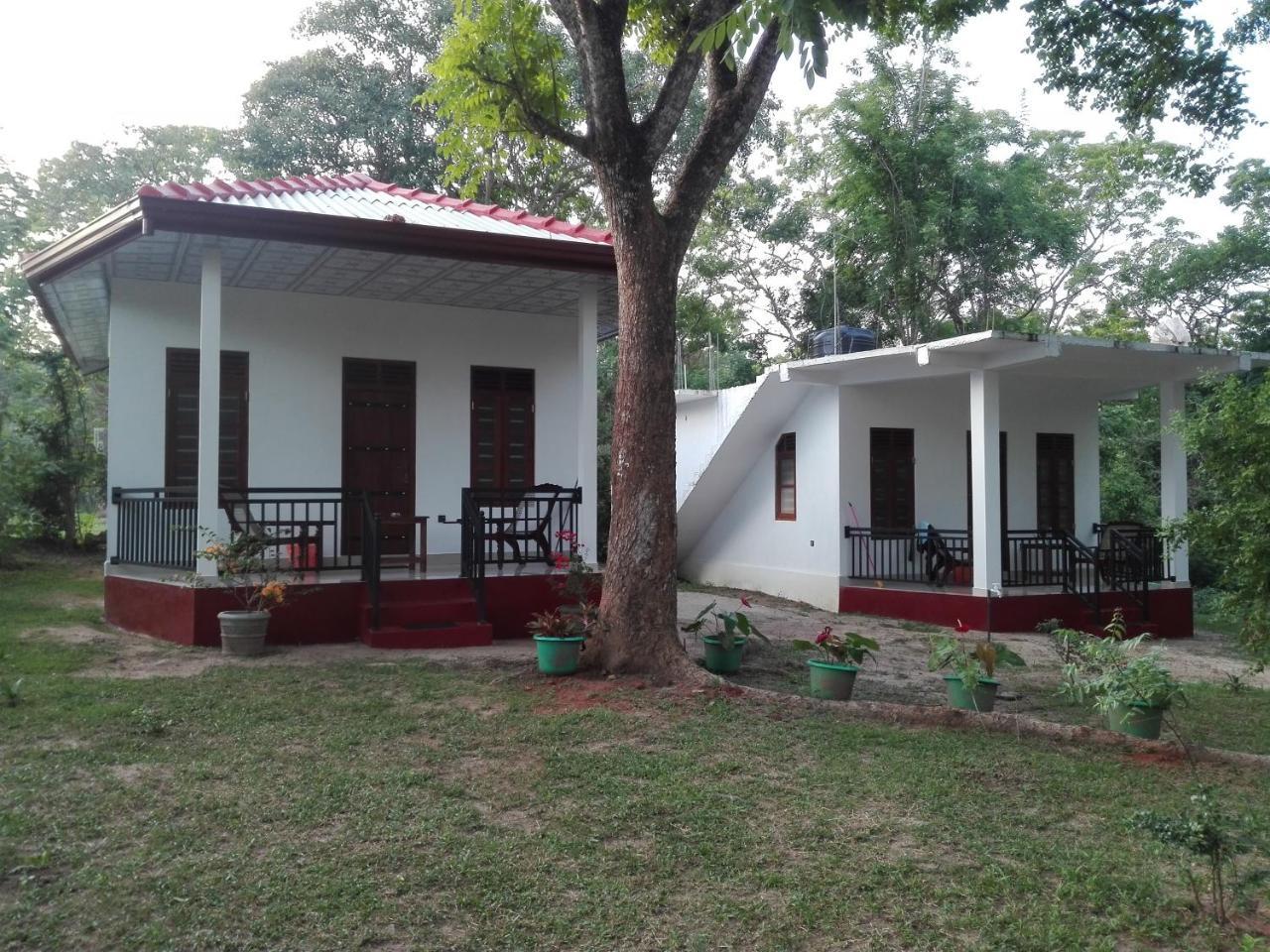 Calm Garden Cabanas Tangalle Dış mekan fotoğraf